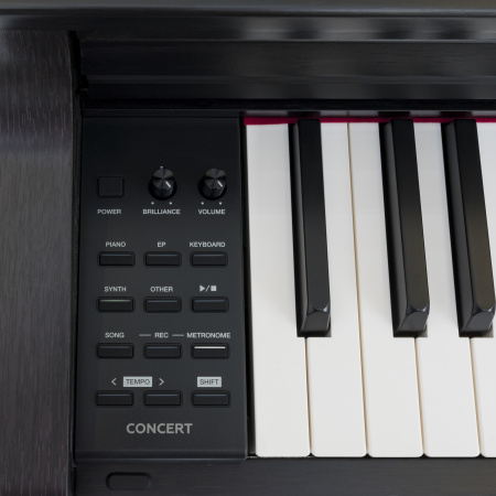 Цифровое пианино Rockdale Concert Rosewood