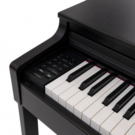 Цифровое пианино Rockdale Concert Rosewood