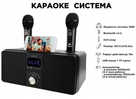 Караоке система с двумя радиомикрофонами SDRD SD 309