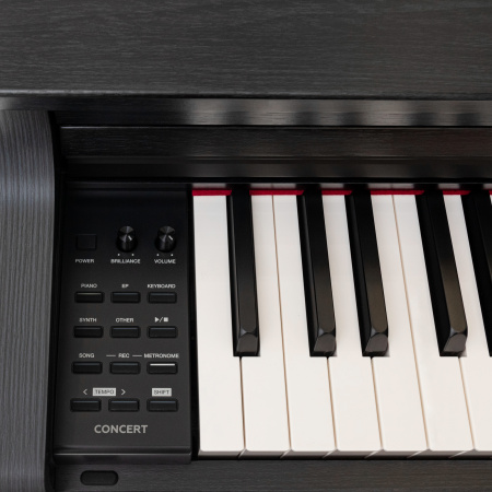 Цифровое пианино Rockdale Concert Black