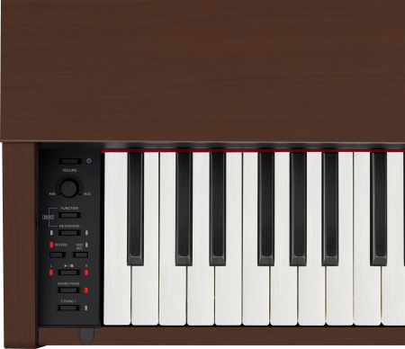 Цифровое пианино Casio Privia PX-770BN