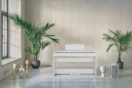 Цифровое пианино Becker BSP-102W