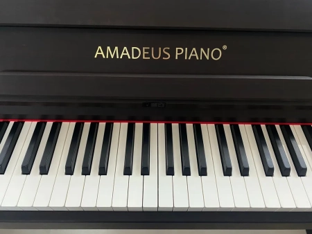 Цифровое пианино Amadeus Piano AP-800 Brown