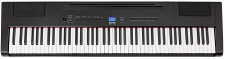 Цифровое пианино Rockdale RDP-4088 (Elegy) Black