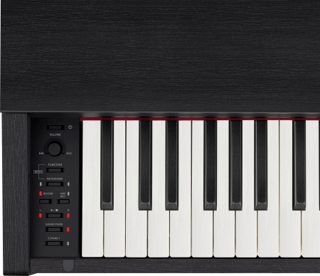 Цифровое пианино Casio Privia PX-770BK