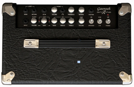 Комбоусилитель для электрогитары Yerasov GAVROSH 12R