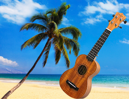 Укулеле Enya EUS-20