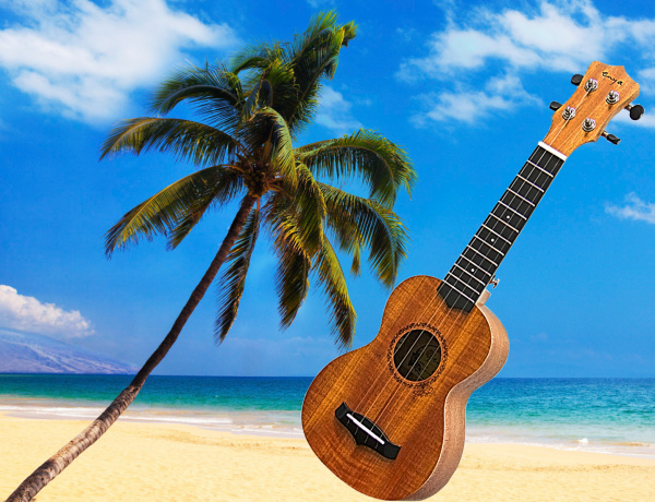 Укулеле Enya EUS-20