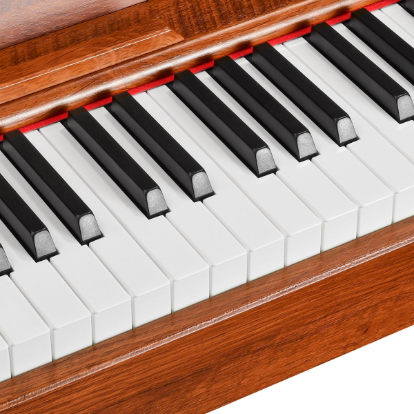 Цифровое пианино EMILY PIANO D-47 N