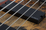 Бас-гитара Schecter Riot-5 Inferno Burst