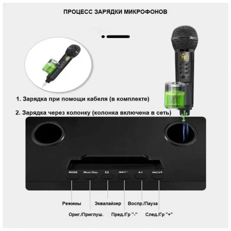 Караоке система с двумя радиомикрофонами  SDRD SD-319 Emerald Green