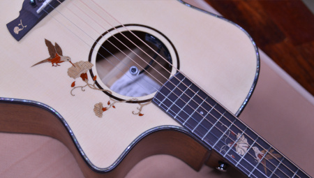 Гитара электроакустическая Crafter TB G-1000ce