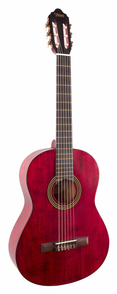Гитара классическая Valencia VC204TWR