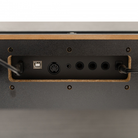 Цифровое пианино Rockdale Virtuoso Black