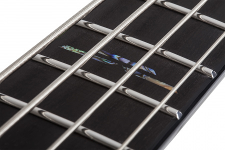 Бас-гитара Schecter C-4 Silver Mountain TXV