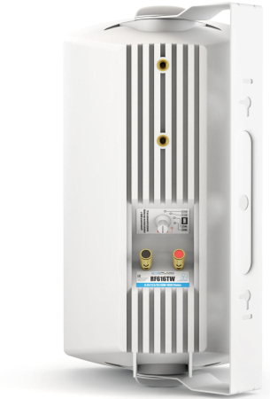 Громкоговоритель настенный CVGaudio RF616TW