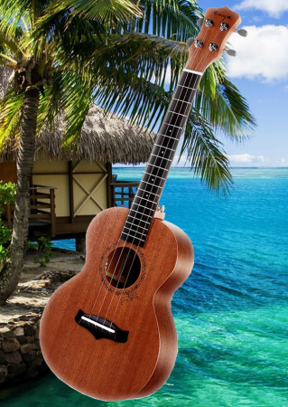 Укулеле Enya EUT-20