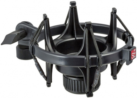 Микрофон студийный SE ELECTRONICS SE 2200