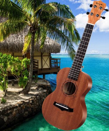 Укулеле Enya EUC-20