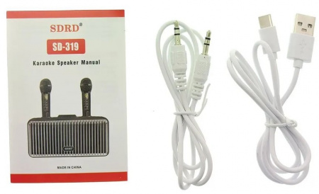 Караоке система с двумя радиомикрофонами  SDRD SD-319 Gold