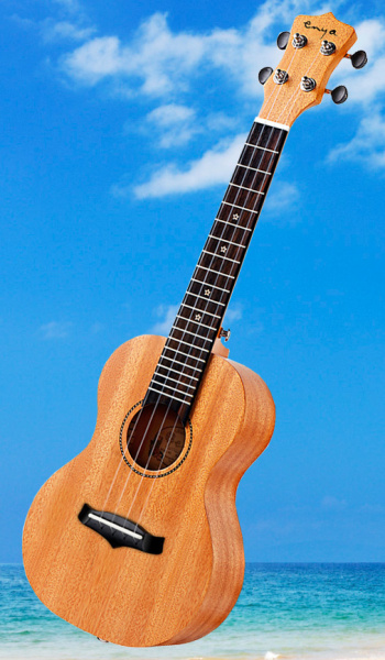 Укулеле Enya EUT-25D