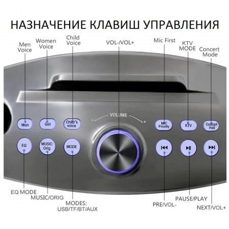 Караоке система с двумя радиомикрофонами SDRD SD 306 Plus Gold (Сова)