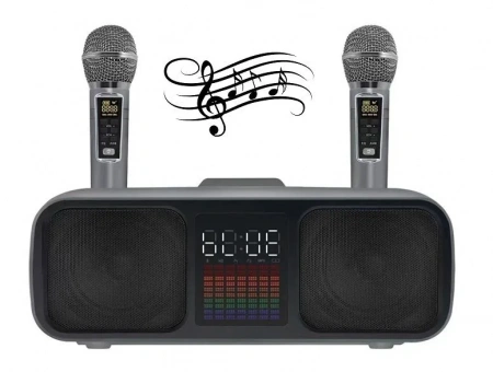 Караоке система с двумя радиомикрофонами SDRD SD 318 Grey