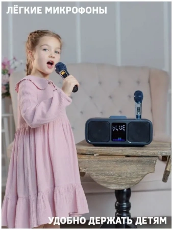 Караоке система с двумя радиомикрофонами SDRD SD 318 Dark Blue