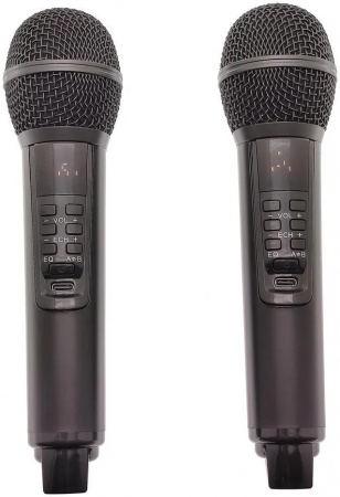 Караоке система с двумя радиомикрофонами  SDRD SD-319 Emerald Green